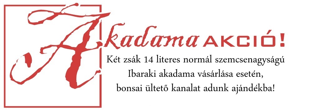 akadama akcio bonsai atulteteshez bonsai ulteto kanallal